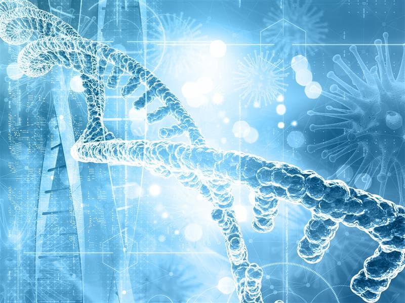 Life Sciences